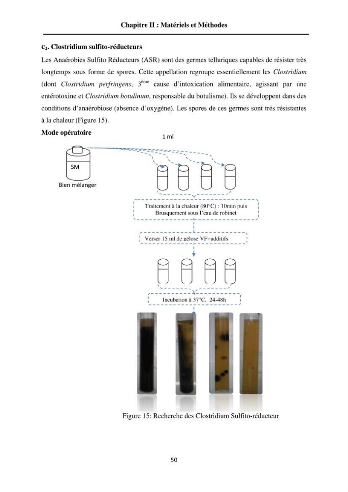 Contribution à la valorisation du Chinchard commun Trachurus trachurus ( L innée, 1758) et évaluation de la qualité organoleptique,hygiénique et nutritionnelle:
