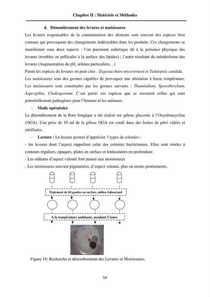 Contribution à la valorisation du Chinchard commun Trachurus trachurus ( L innée, 1758) et évaluation de la qualité organoleptique,hygiénique et nutritionnelle: