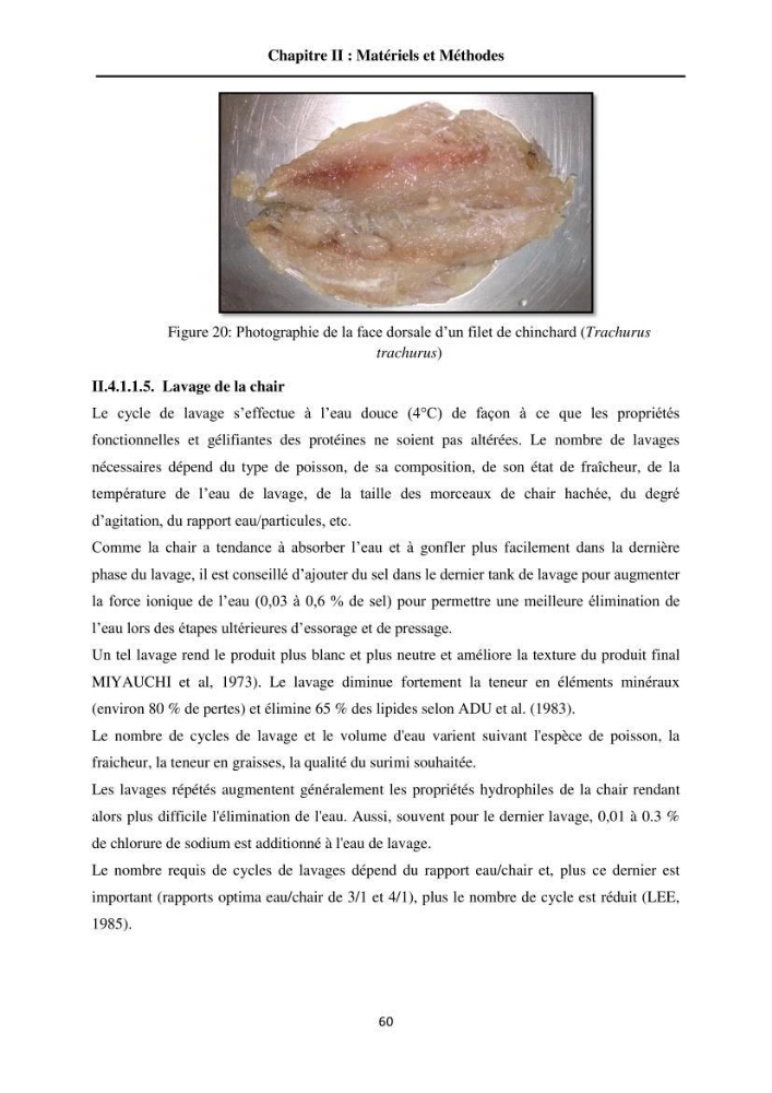 Contribution à la valorisation du Chinchard commun Trachurus trachurus ( L innée, 1758) et évaluation de la qualité organoleptique,hygiénique et nutritionnelle: