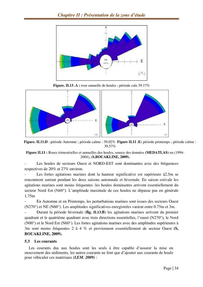 Modélisation Numérique de la morphodynamique sédimentaire et de la cinématique du trait de côte Chenoua plage, willaya de Tipaza.