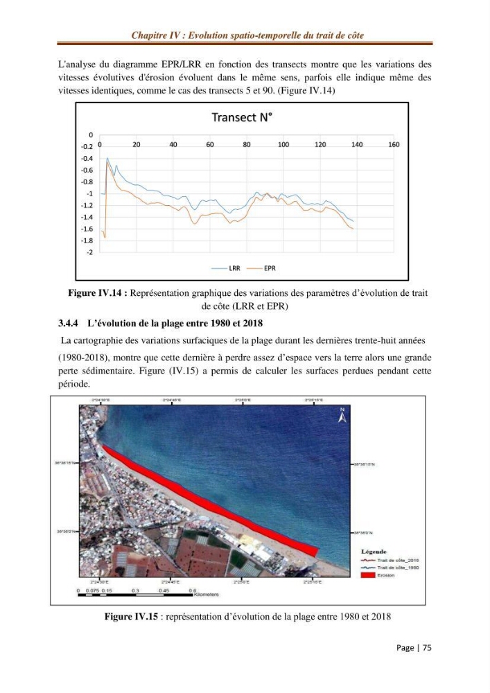 Modélisation Numérique de la morphodynamique sédimentaire et de la cinématique du trait de côte Chenoua plage, willaya de Tipaza.