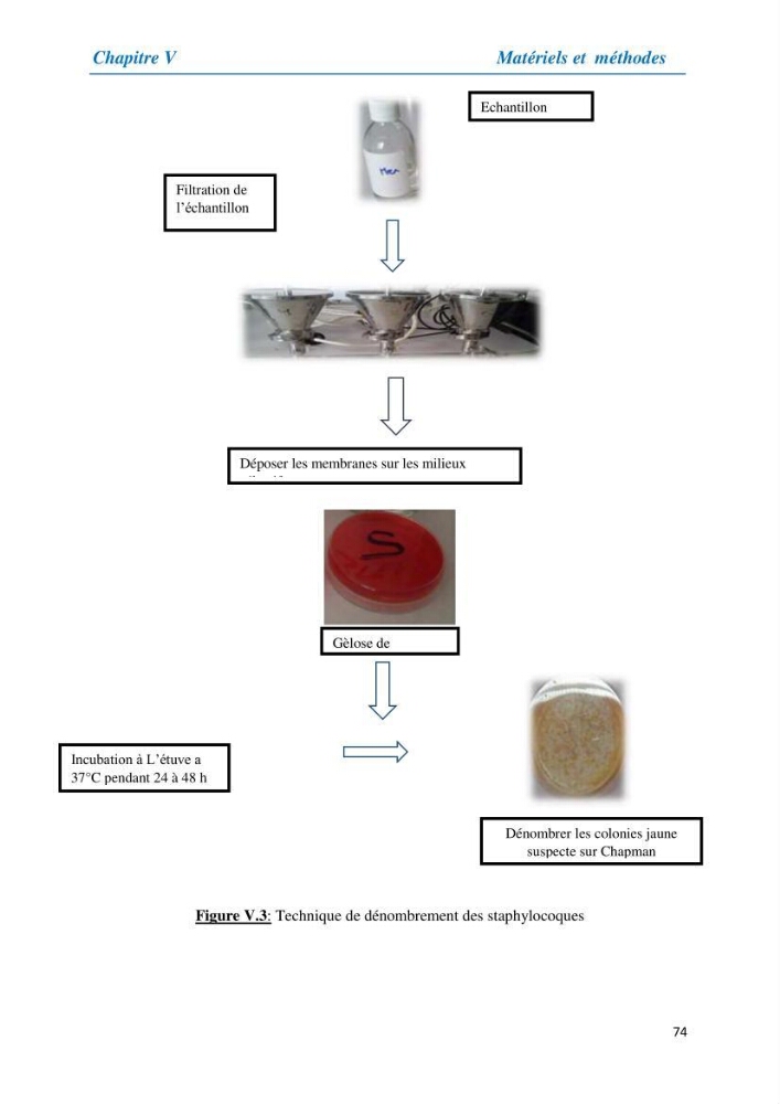 Suivi de la qualité physico-chimique et bacteriologique des eaux usées épurées de la station d\'épuration et leur effet sur l\'environnement marin