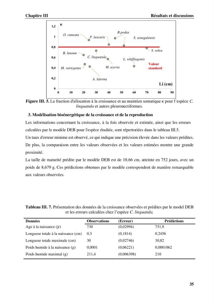 Effet des paramètres du milieu sur la reproduction et la croissance de citharus linguatula (Linnaeus, 1758 ) des eaux centre algériennes selon la théorie DEB