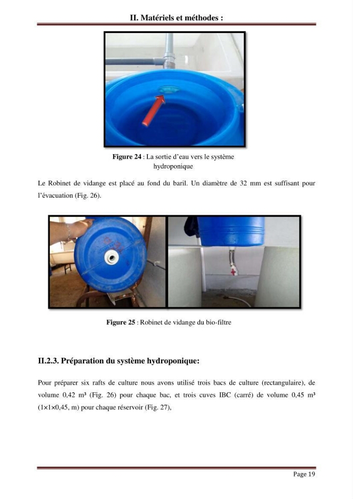 Mise en place d\'un élevage en aquaponie