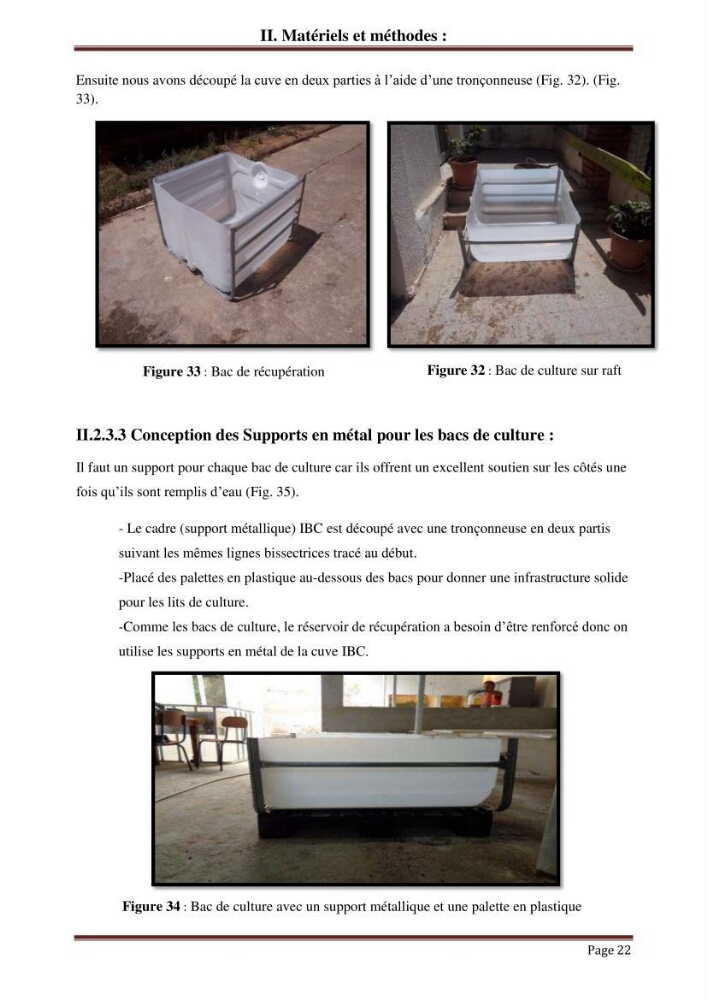 Mise en place d\'un élevage en aquaponie