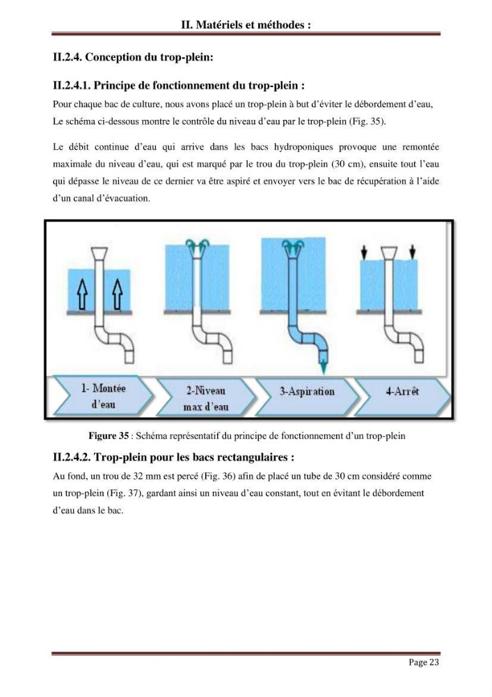 Mise en place d\'un élevage en aquaponie