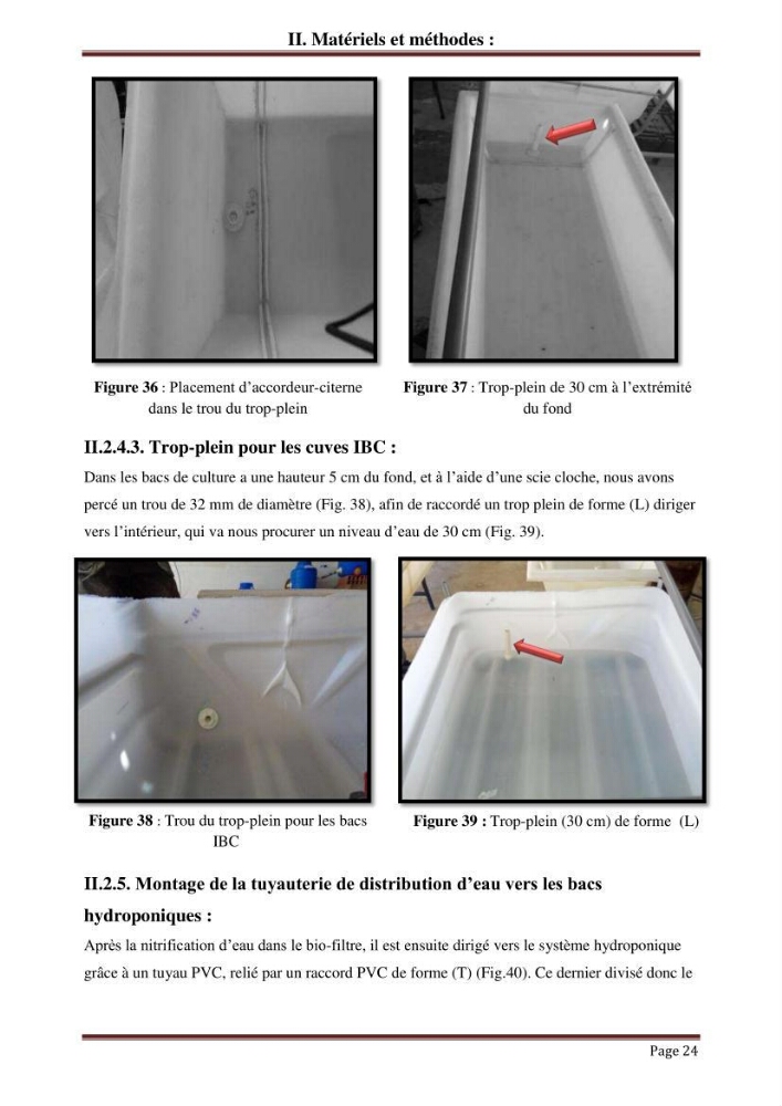 Mise en place d\'un élevage en aquaponie