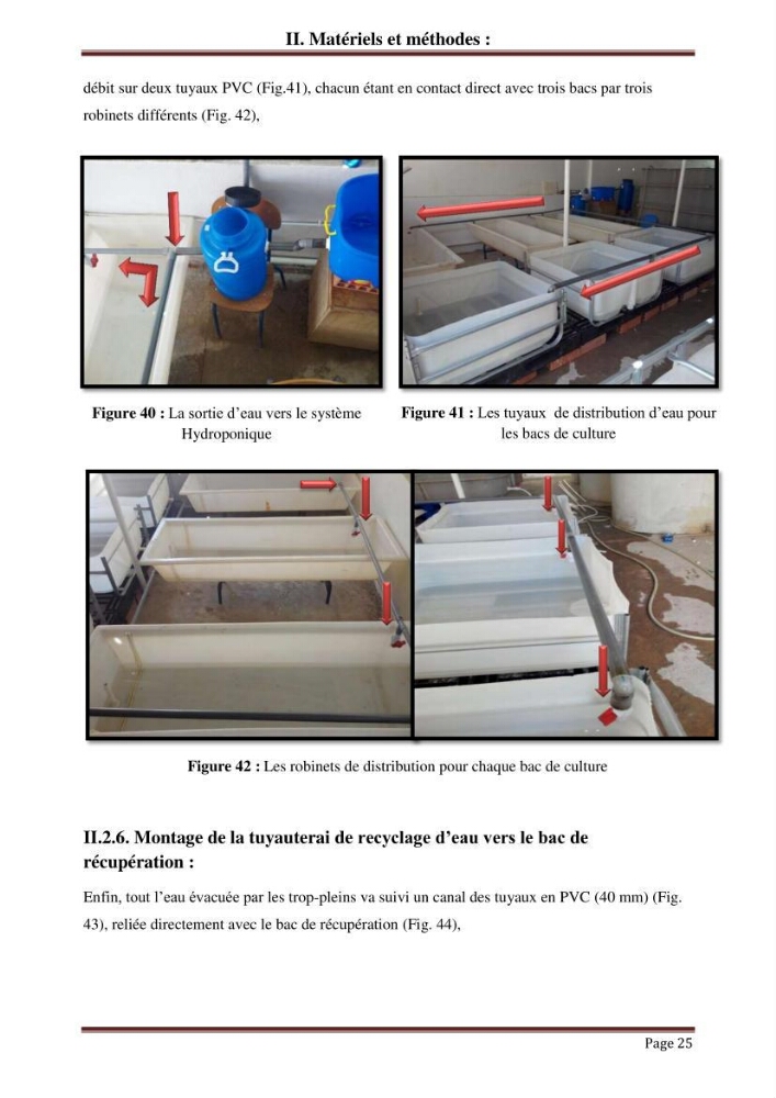 Mise en place d\'un élevage en aquaponie