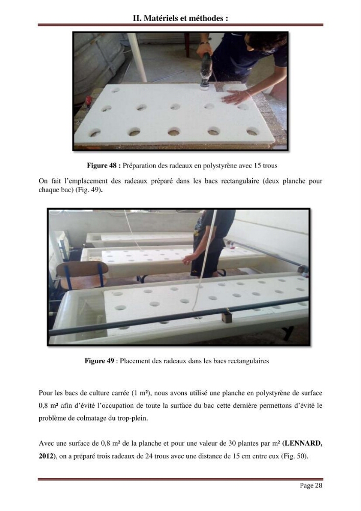 Mise en place d\'un élevage en aquaponie