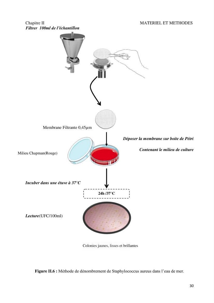Suivi de la qualité microbiologique et physicochimique des eaux de baignade.