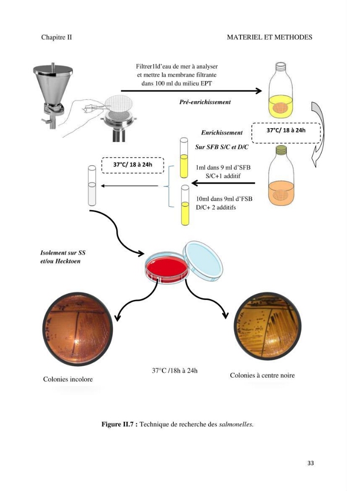 Suivi de la qualité microbiologique et physicochimique des eaux de baignade.