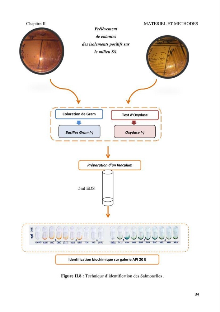 Suivi de la qualité microbiologique et physicochimique des eaux de baignade.