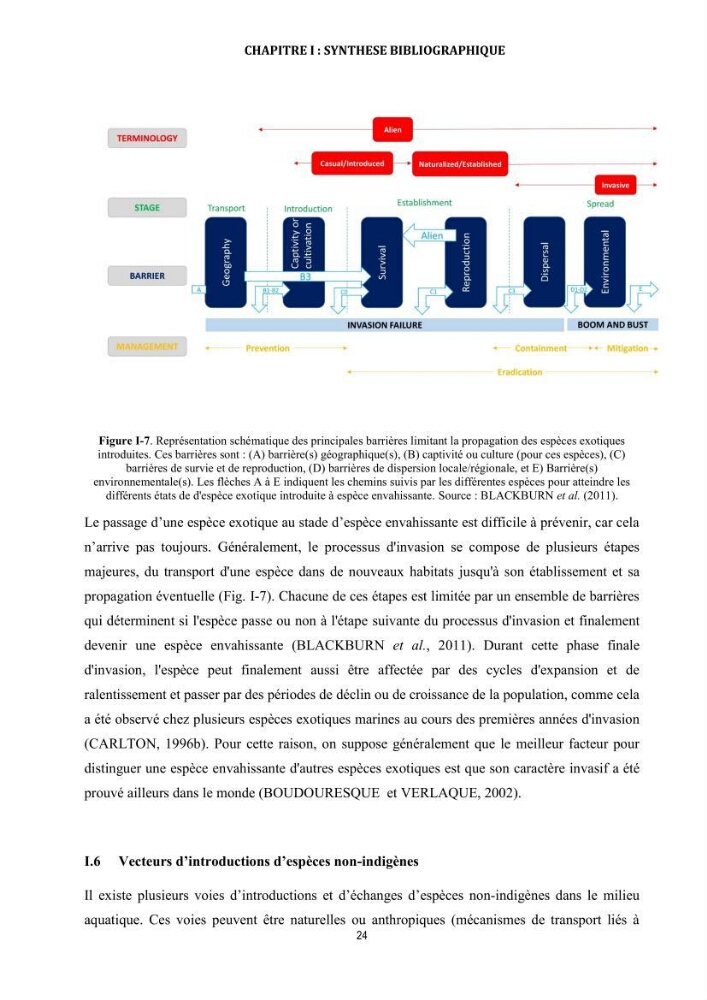 La biosalissure « biofouling » de la coque des navires, une menace pour la biodiversité du milieu marin