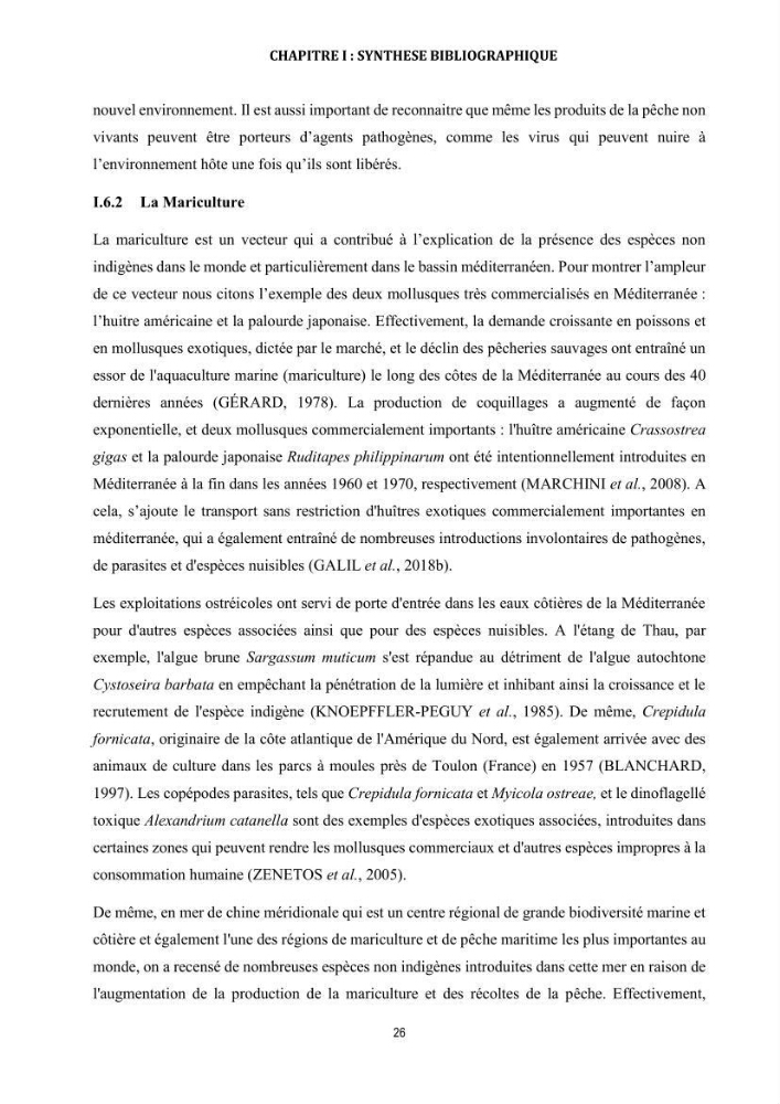 La biosalissure « biofouling » de la coque des navires, une menace pour la biodiversité du milieu marin