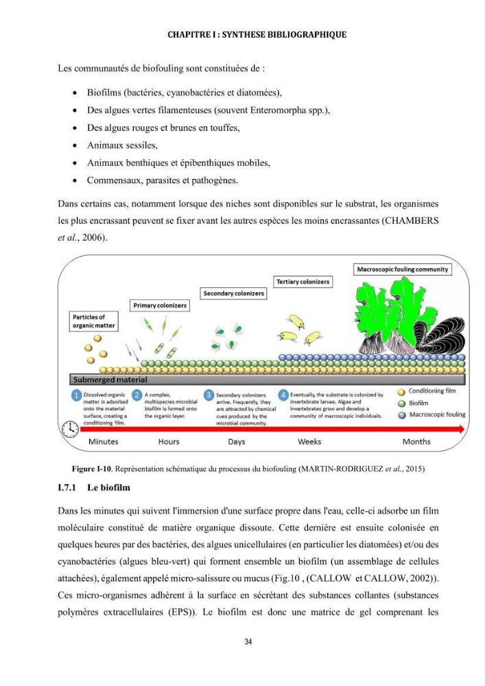 La biosalissure « biofouling » de la coque des navires, une menace pour la biodiversité du milieu marin