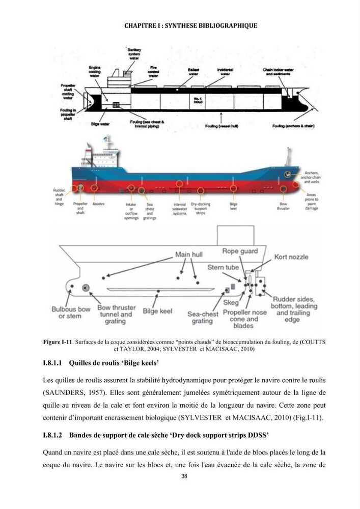 La biosalissure « biofouling » de la coque des navires, une menace pour la biodiversité du milieu marin