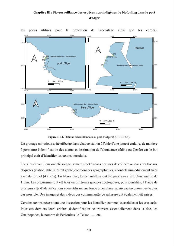 La biosalissure « biofouling » de la coque des navires, une menace pour la biodiversité du milieu marin