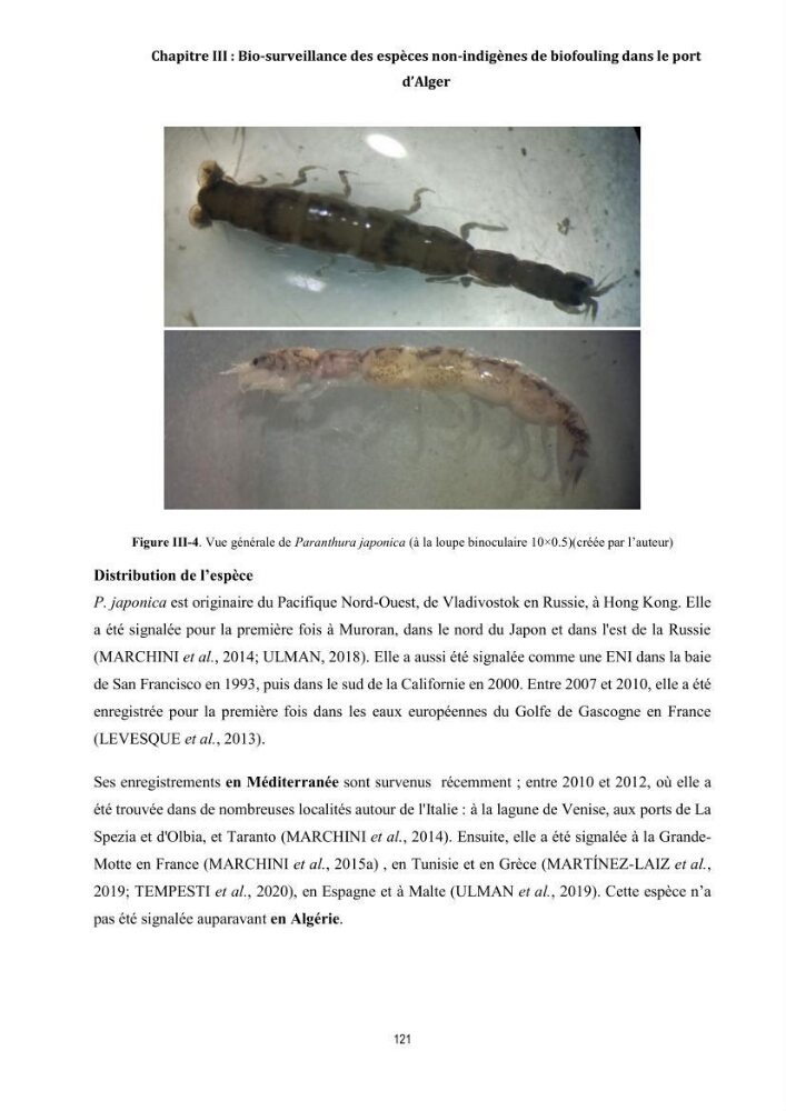 La biosalissure « biofouling » de la coque des navires, une menace pour la biodiversité du milieu marin