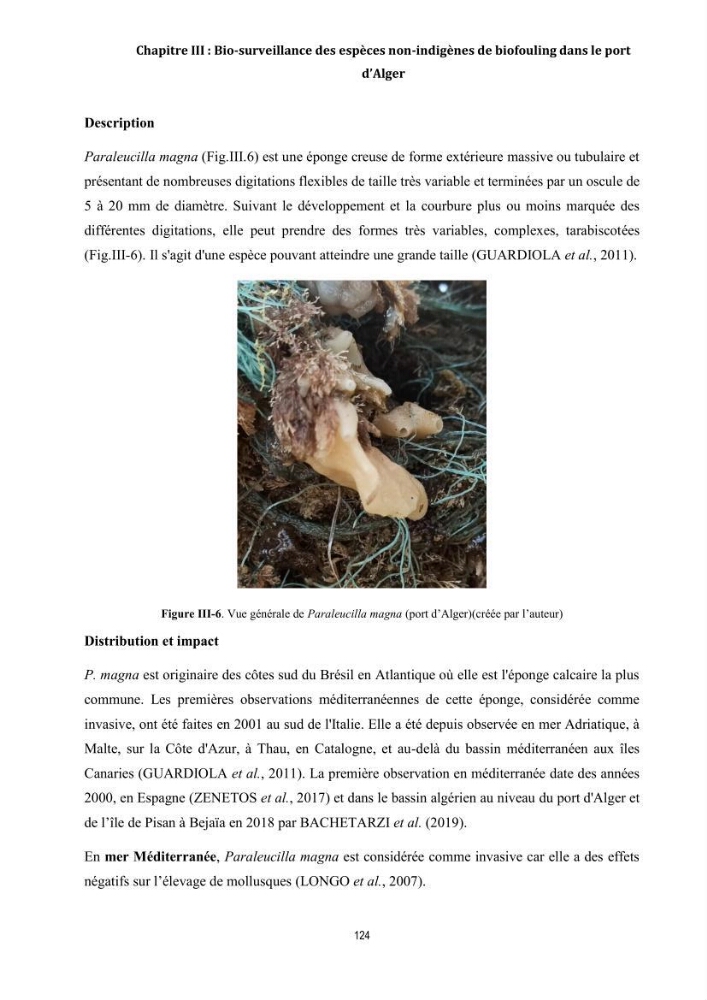 La biosalissure « biofouling » de la coque des navires, une menace pour la biodiversité du milieu marin
