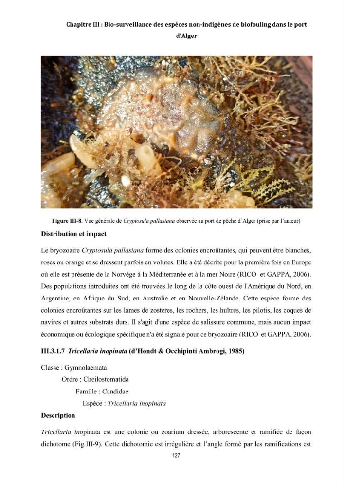 La biosalissure « biofouling » de la coque des navires, une menace pour la biodiversité du milieu marin