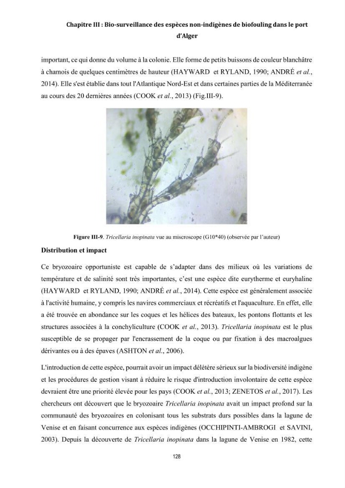 La biosalissure « biofouling » de la coque des navires, une menace pour la biodiversité du milieu marin
