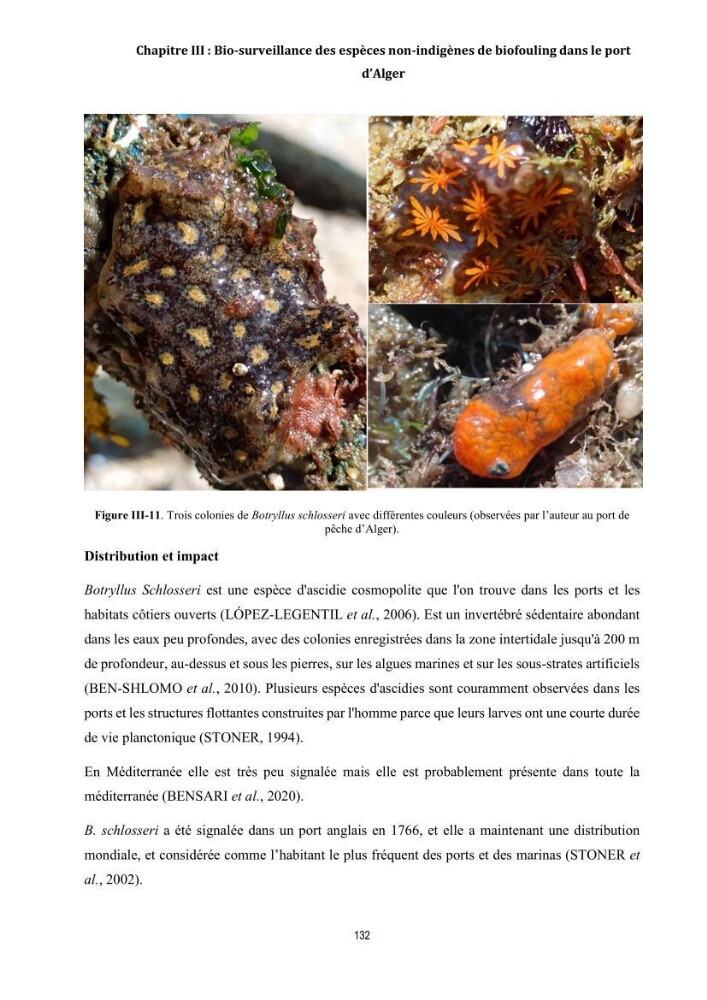 La biosalissure « biofouling » de la coque des navires, une menace pour la biodiversité du milieu marin