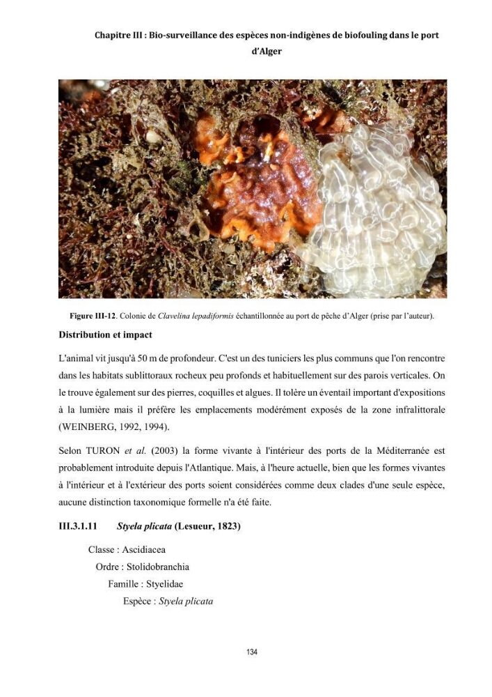 La biosalissure « biofouling » de la coque des navires, une menace pour la biodiversité du milieu marin