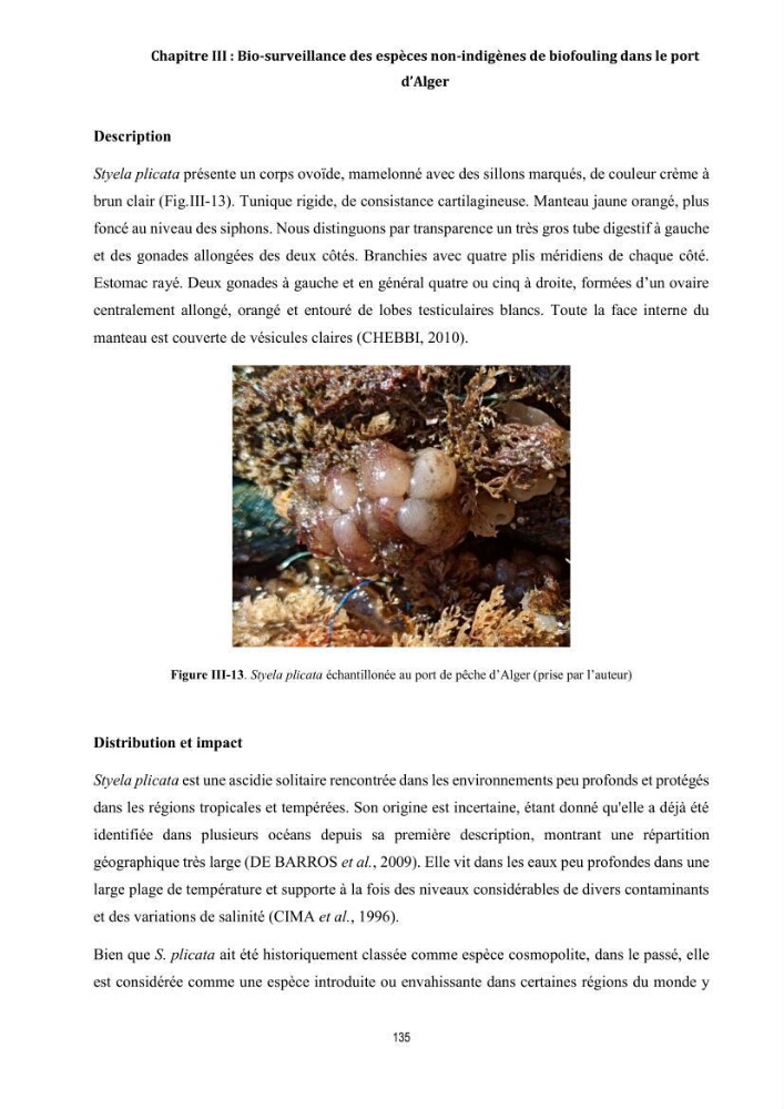 La biosalissure « biofouling » de la coque des navires, une menace pour la biodiversité du milieu marin
