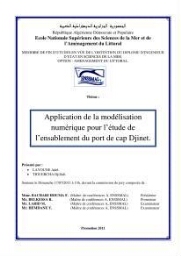 Application de la modélisation numérique pour l'étude de l'ensablement du port de cap Djinet: