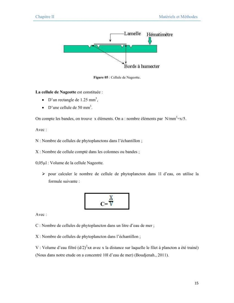 Contribution à l\'étude qualitative, quantitative et structurelle des populations de phytoplancton de la baie de Bou-Ismail cas du site \"le vivier\"