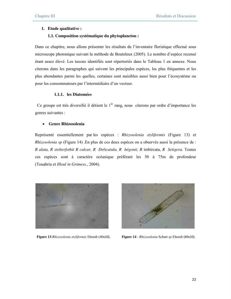 Contribution à l\'étude qualitative, quantitative et structurelle des populations de phytoplancton de la baie de Bou-Ismail cas du site \"le vivier\"