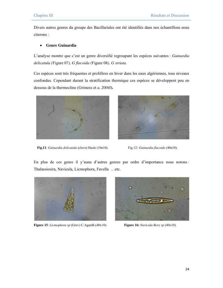 Contribution à l\'étude qualitative, quantitative et structurelle des populations de phytoplancton de la baie de Bou-Ismail cas du site \"le vivier\"