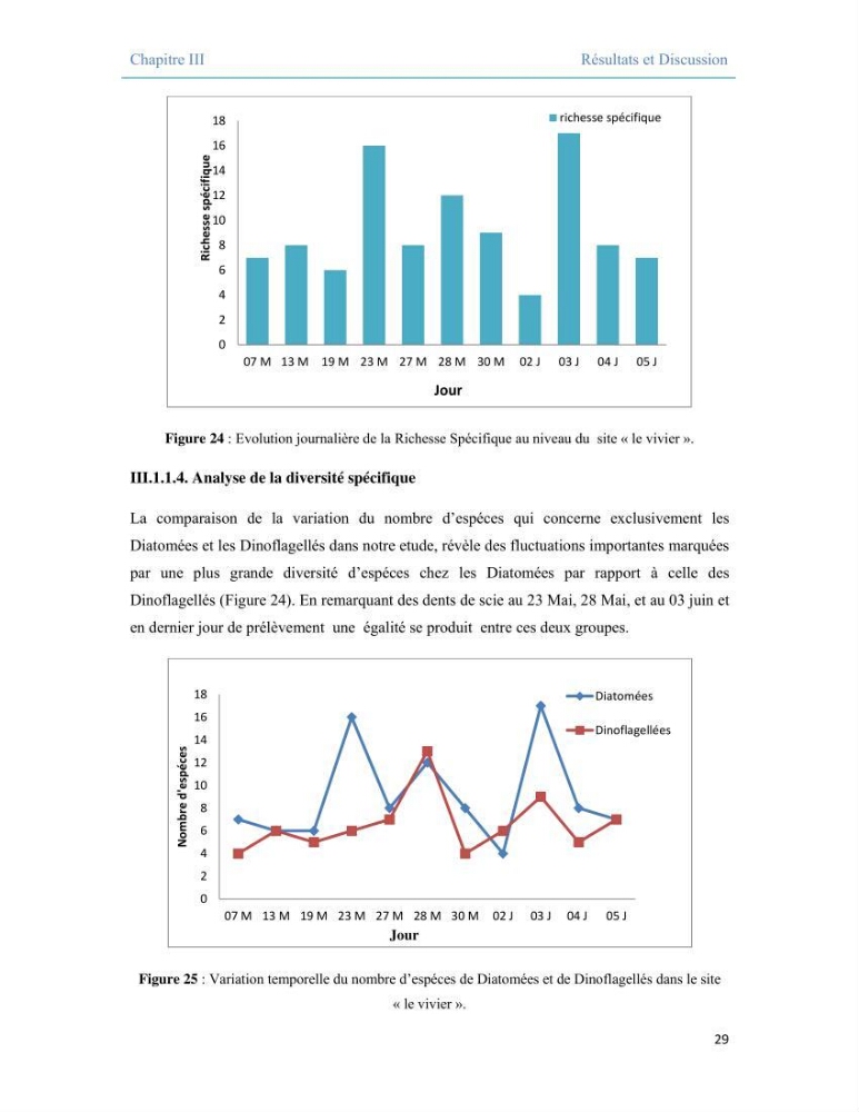 Contribution à l\'étude qualitative, quantitative et structurelle des populations de phytoplancton de la baie de Bou-Ismail cas du site \"le vivier\"