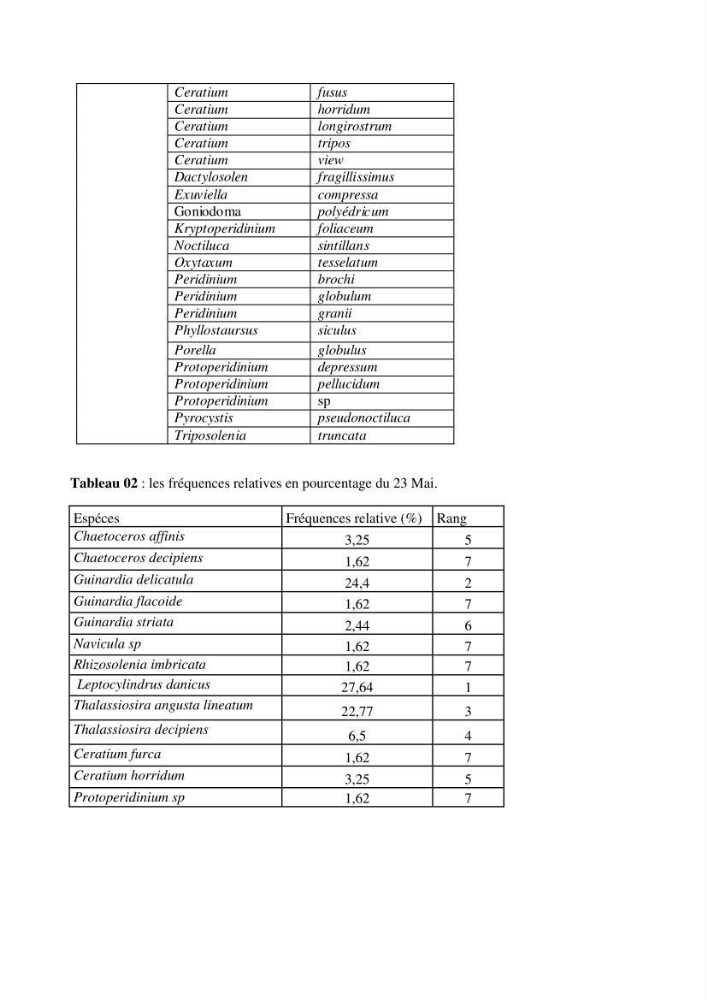Contribution à l\'étude qualitative, quantitative et structurelle des populations de phytoplancton de la baie de Bou-Ismail cas du site \"le vivier\"