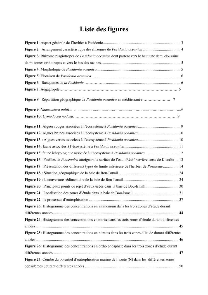 Contribution a l’étude de l’évolution de l’herbier à Posidonie (Posidonia oceanica) sous l’effet de la pression anthropique dans la baie de Bou-Ismail à Alger