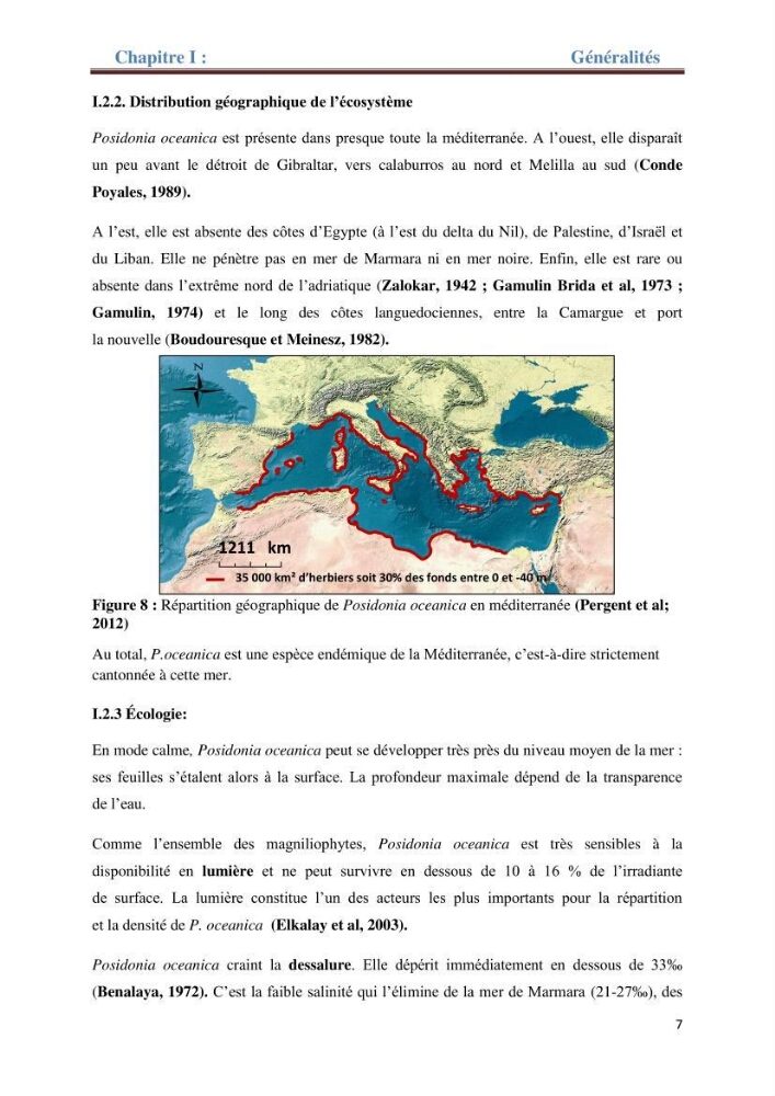 Contribution a l’étude de l’évolution de l’herbier à Posidonie (Posidonia oceanica) sous l’effet de la pression anthropique dans la baie de Bou-Ismail à Alger
