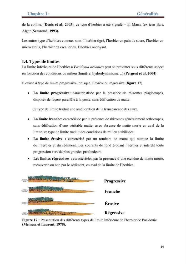 Contribution a l’étude de l’évolution de l’herbier à Posidonie (Posidonia oceanica) sous l’effet de la pression anthropique dans la baie de Bou-Ismail à Alger