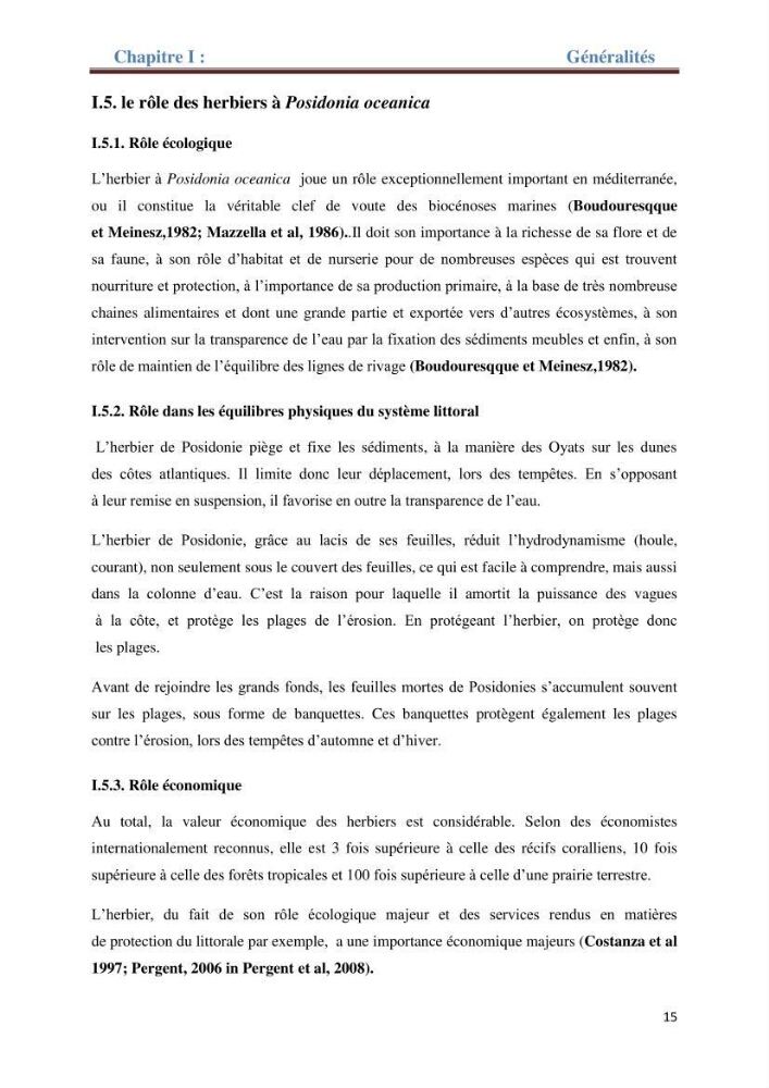 Contribution a l’étude de l’évolution de l’herbier à Posidonie (Posidonia oceanica) sous l’effet de la pression anthropique dans la baie de Bou-Ismail à Alger