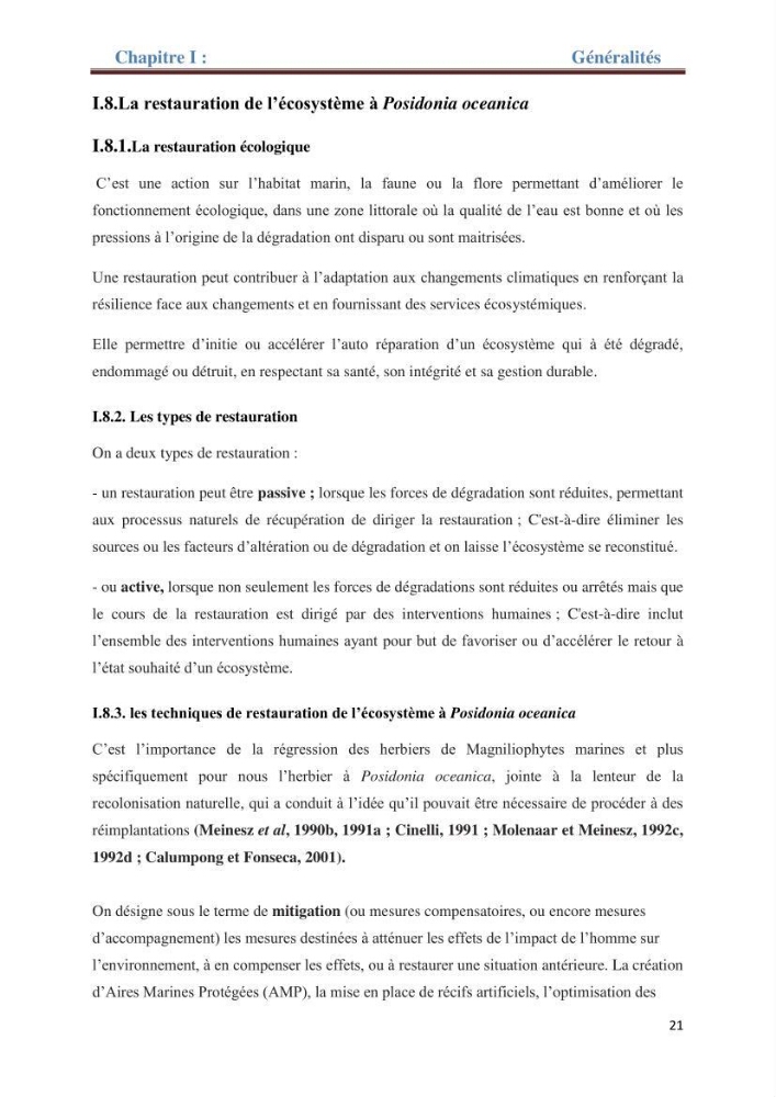 Contribution a l’étude de l’évolution de l’herbier à Posidonie (Posidonia oceanica) sous l’effet de la pression anthropique dans la baie de Bou-Ismail à Alger