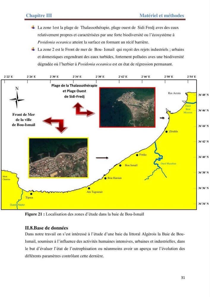 Contribution a l’étude de l’évolution de l’herbier à Posidonie (Posidonia oceanica) sous l’effet de la pression anthropique dans la baie de Bou-Ismail à Alger
