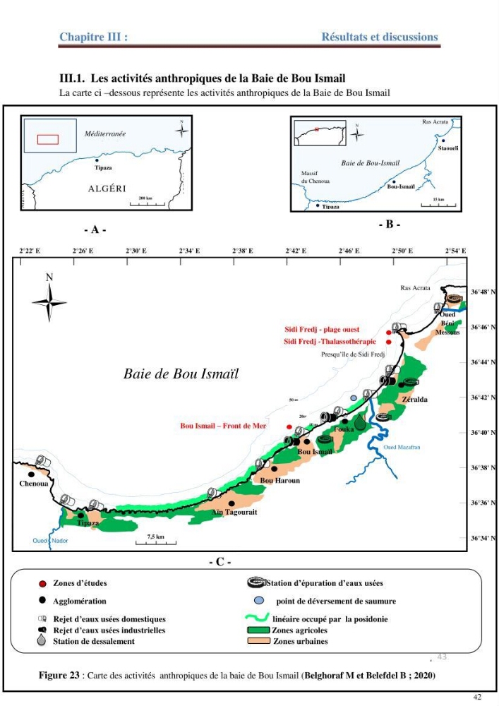 Contribution a l’étude de l’évolution de l’herbier à Posidonie (Posidonia oceanica) sous l’effet de la pression anthropique dans la baie de Bou-Ismail à Alger