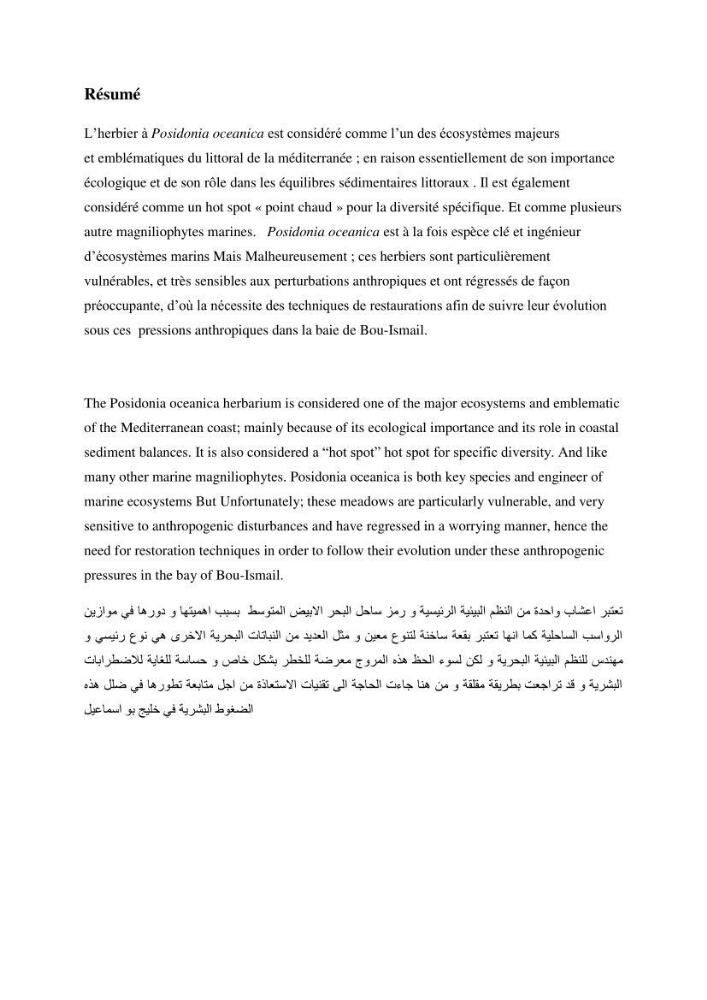 Contribution a l’étude de l’évolution de l’herbier à Posidonie (Posidonia oceanica) sous l’effet de la pression anthropique dans la baie de Bou-Ismail à Alger