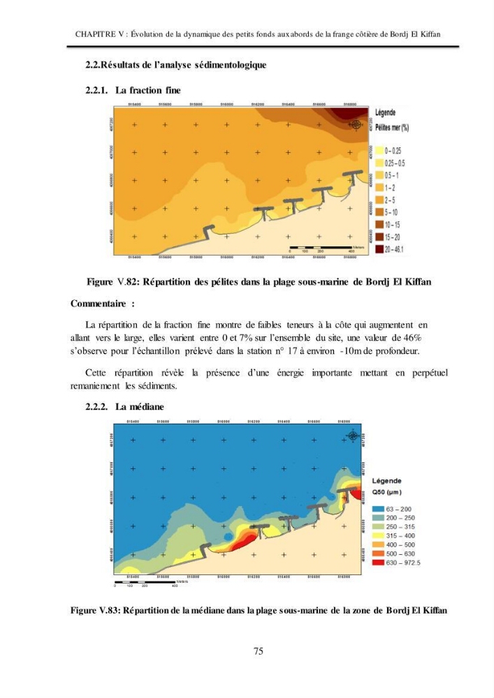 Impacts de l\'implantation des ouvrages de protection sur frange côtière de Bordj El Kiiffan:
