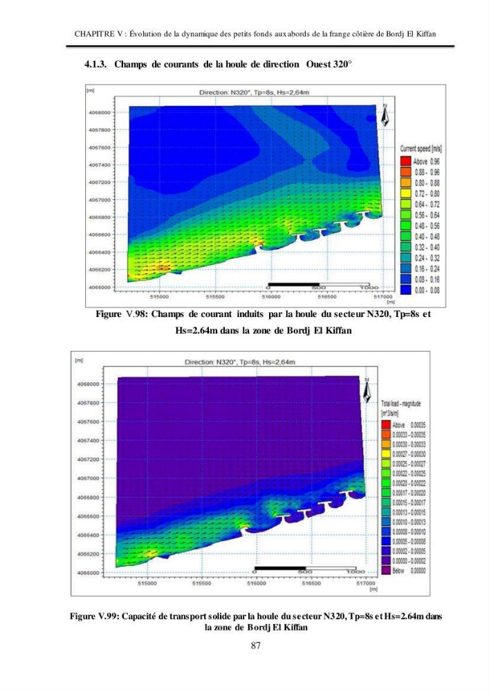 Impacts de l\'implantation des ouvrages de protection sur frange côtière de Bordj El Kiiffan: