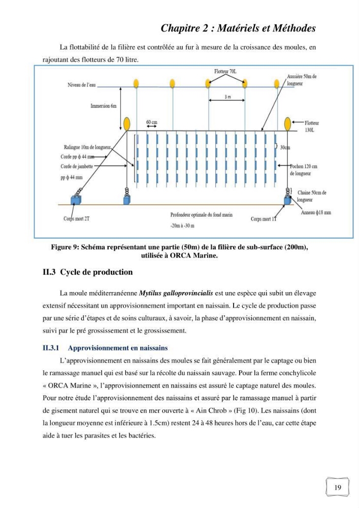 Etude des performances de croissance d\'un élevage myliticole mytilus galloprovincialis ( Lamarck,1819) Ain Taya (Alger)