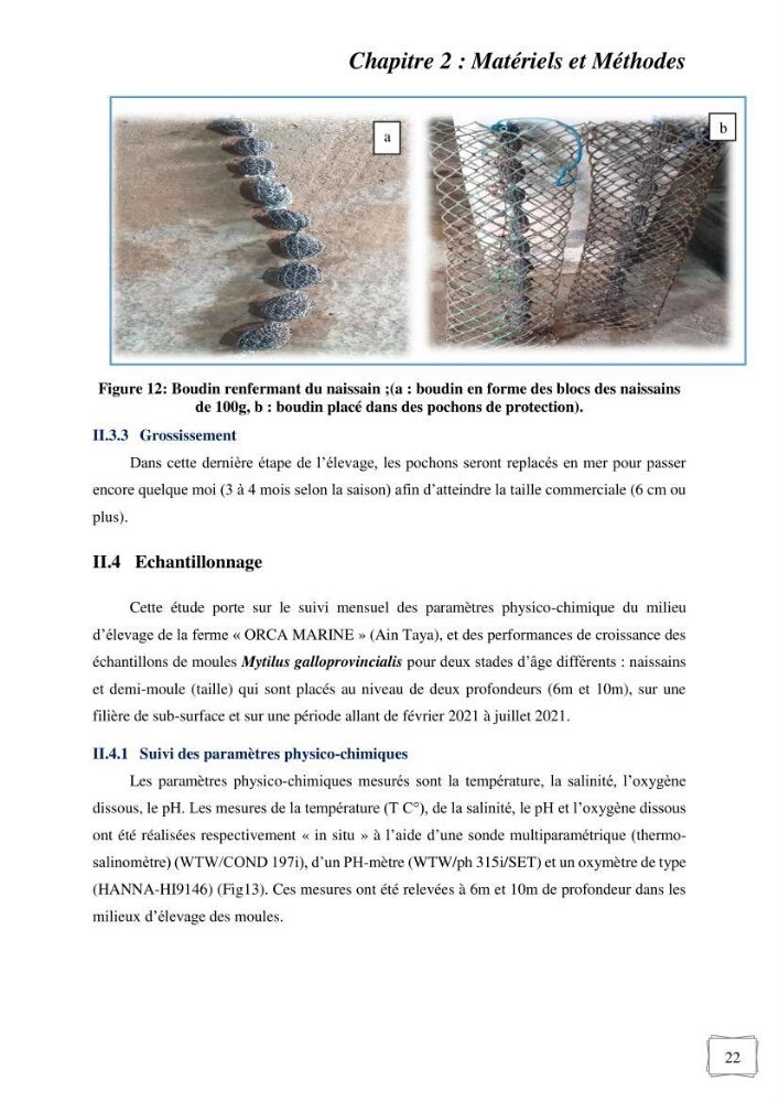Etude des performances de croissance d\'un élevage myliticole mytilus galloprovincialis ( Lamarck,1819) Ain Taya (Alger)