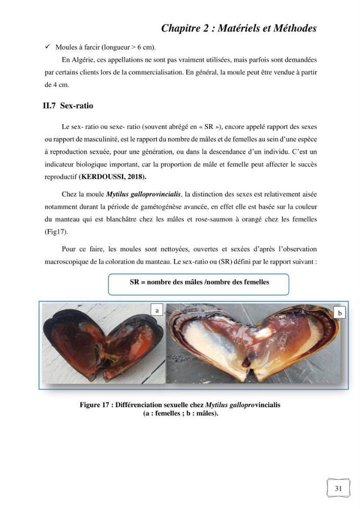 Etude des performances de croissance d\'un élevage myliticole mytilus galloprovincialis ( Lamarck,1819) Ain Taya (Alger)