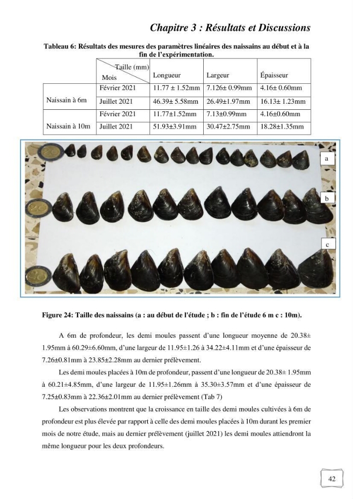 Etude des performances de croissance d\'un élevage myliticole mytilus galloprovincialis ( Lamarck,1819) Ain Taya (Alger)