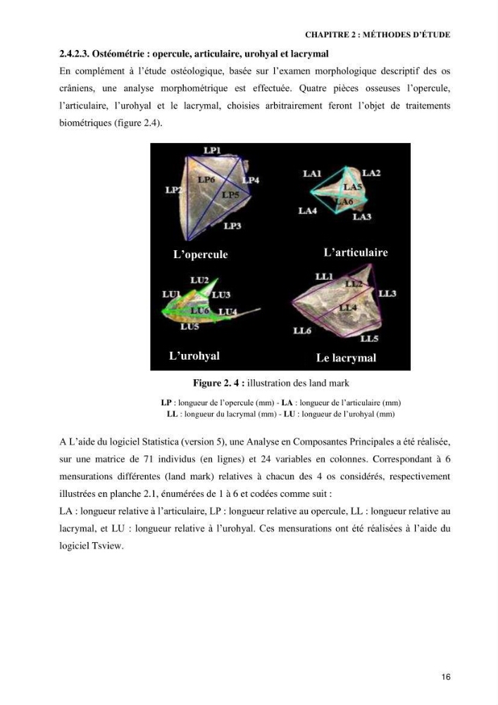 Contribution à l’étude de Symphodus roissali (Risso, 1810) des côtes centres du bassin algérien