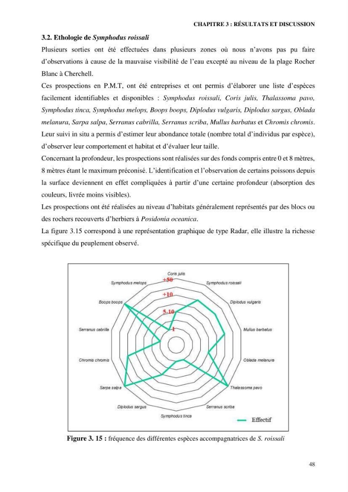 Contribution à l’étude de Symphodus roissali (Risso, 1810) des côtes centres du bassin algérien
